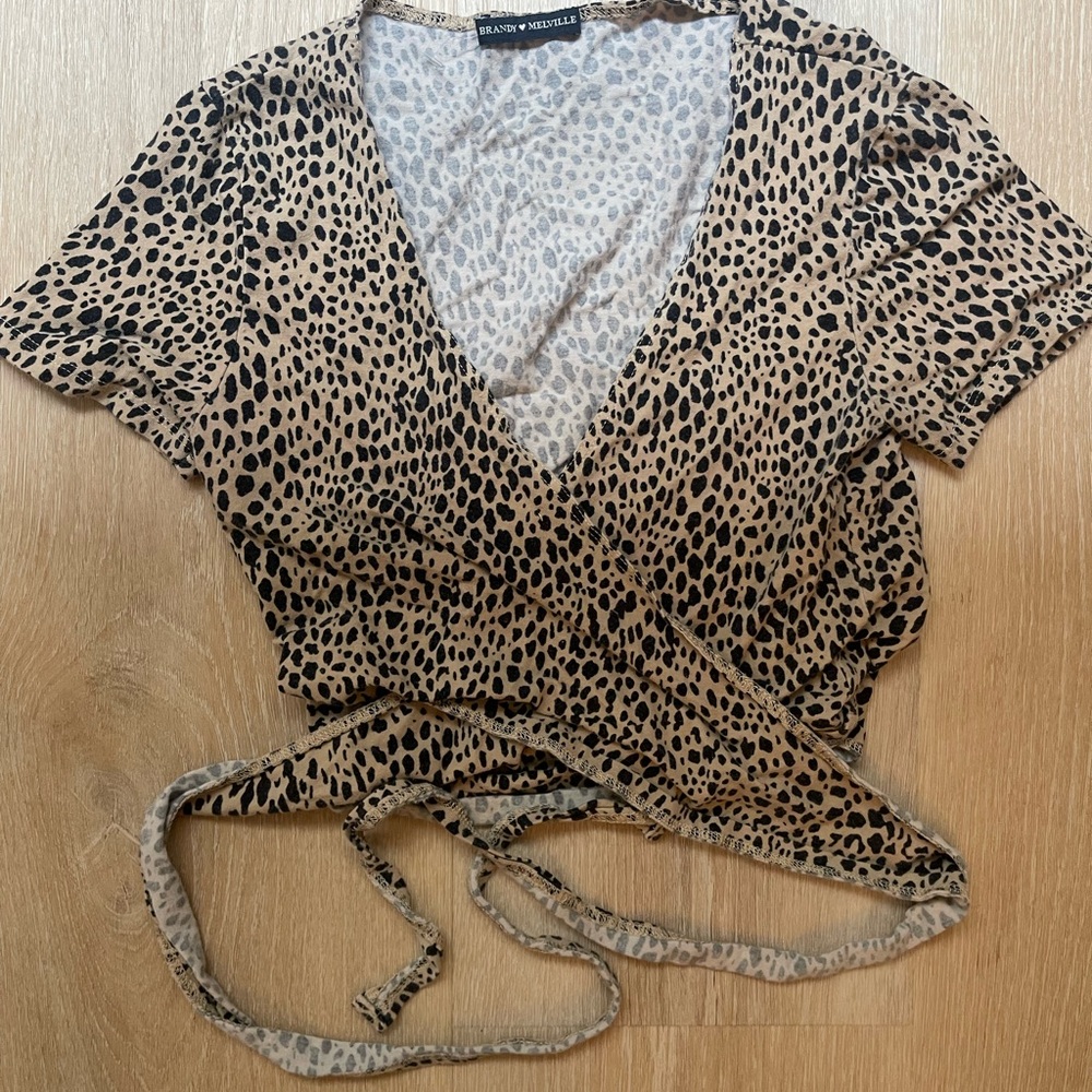 Brandy Melville Crop Top